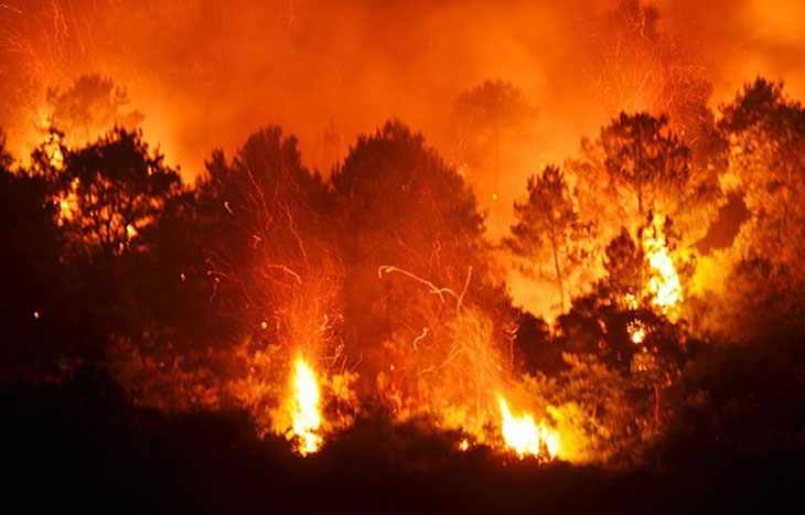 Cháy rừng phát tán ra môi trường một lượng lớn bụi
