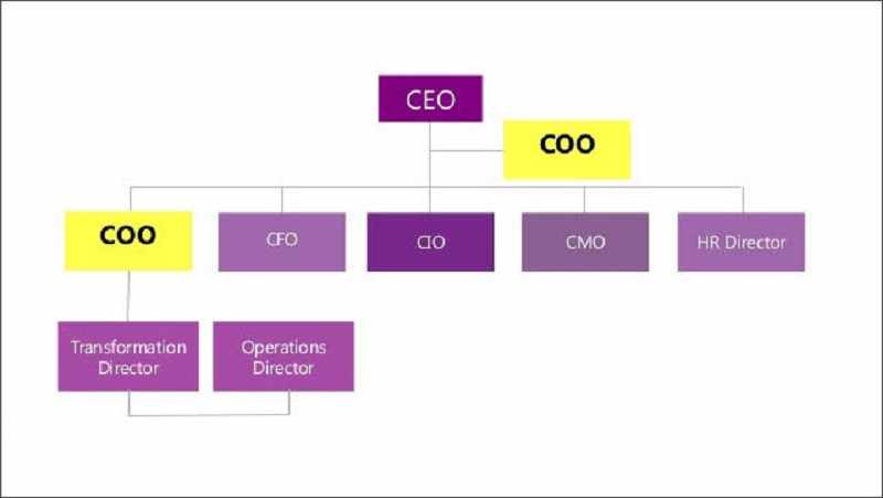Phân biệt CEO với CFO, COO, … và một số vị trí khác