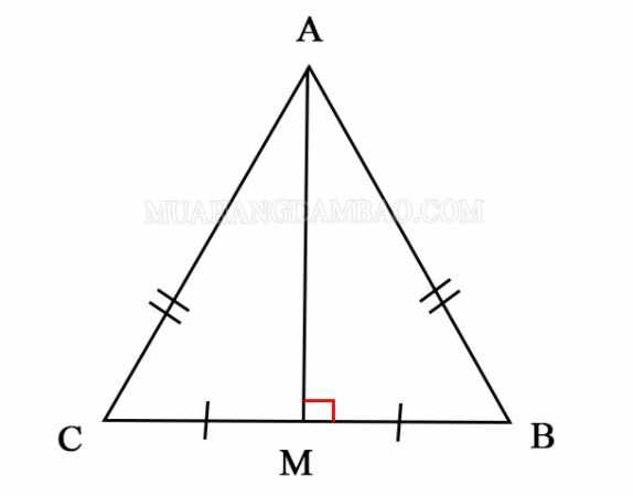 Đường trung trực đồng thời là trung tuyến trong tam giác cân