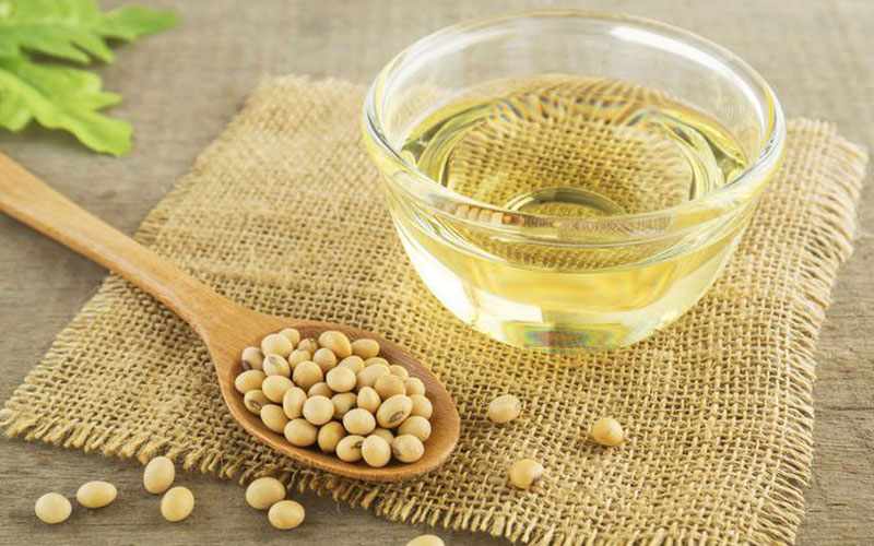 Hạt Soy Bean nghĩa là gì? Tác dụng của hạt Soy Bean với sức khoẻ và làm đep