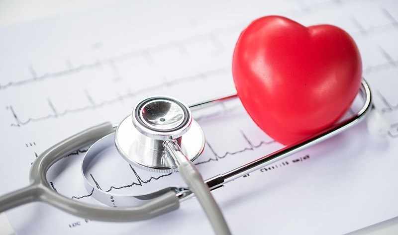 đông trùng hạ thảo có lợi cho tim mạch