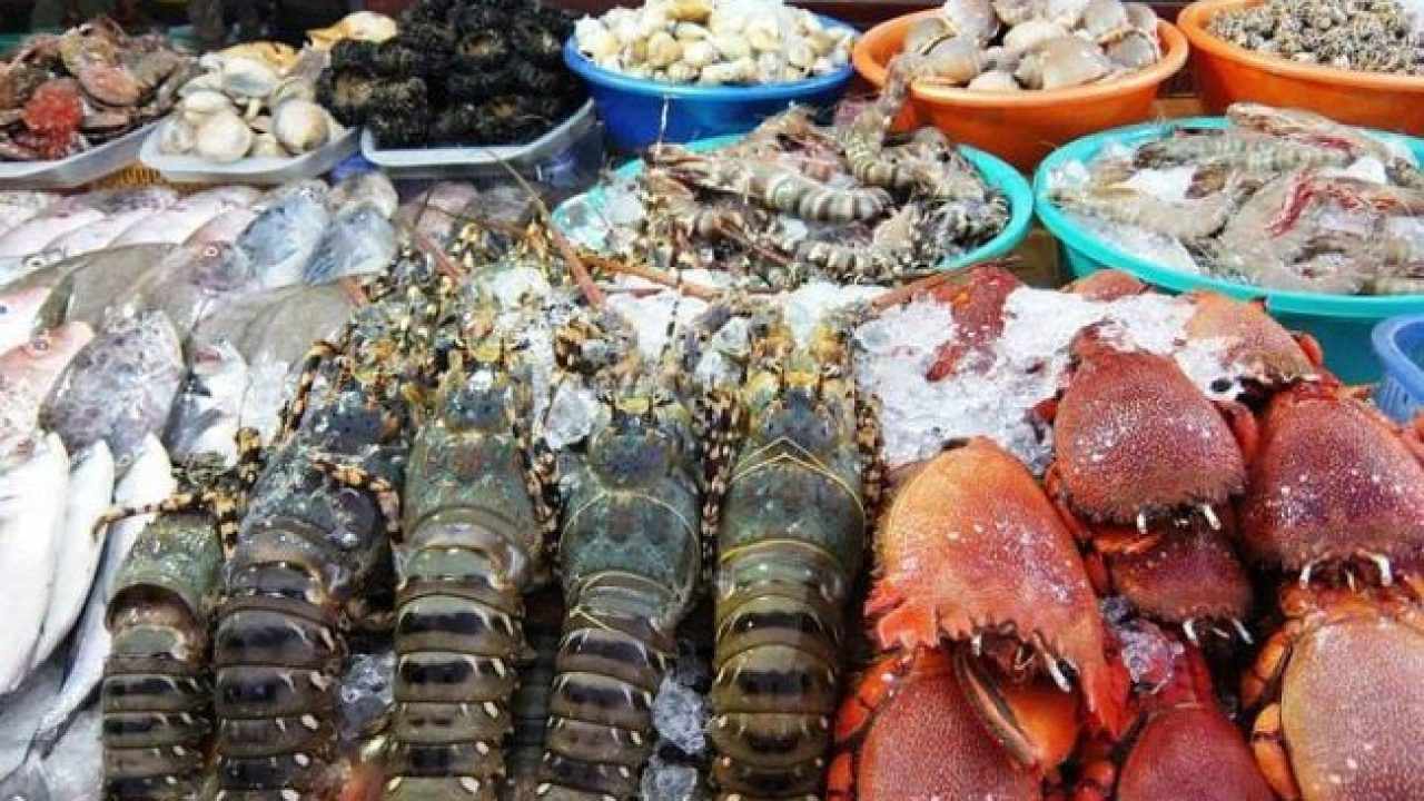Top 5 địa chỉ bán hải sản tươi sống giá rẻ giao hàng tận nhà