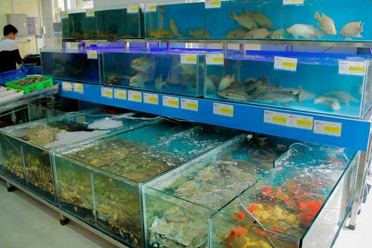 Cửa hàng hải sản Câu có những mặt hàng hải sản thơm ngon, bổ dưỡng