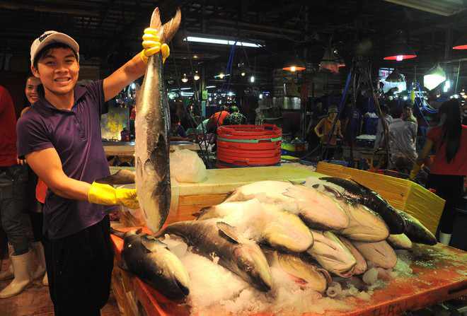 Gành Cá nổi bật bởi những sản phẩm hải sản tươi ngon từ nhiều vùng biển