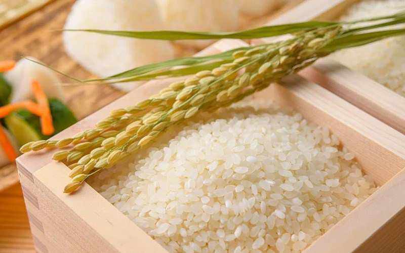 Ủ sầu riêng trong gạo