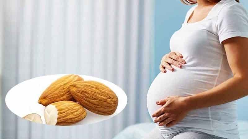 Hạt hạnh nhân (Almond) rất nhiều tốt cho thai nhi
