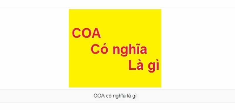 Định nghĩa cơ bản về COA là gì vậy?