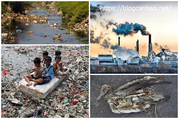 Ảnh hưởng của ô nhiễm chất thải rắn đến môi trường