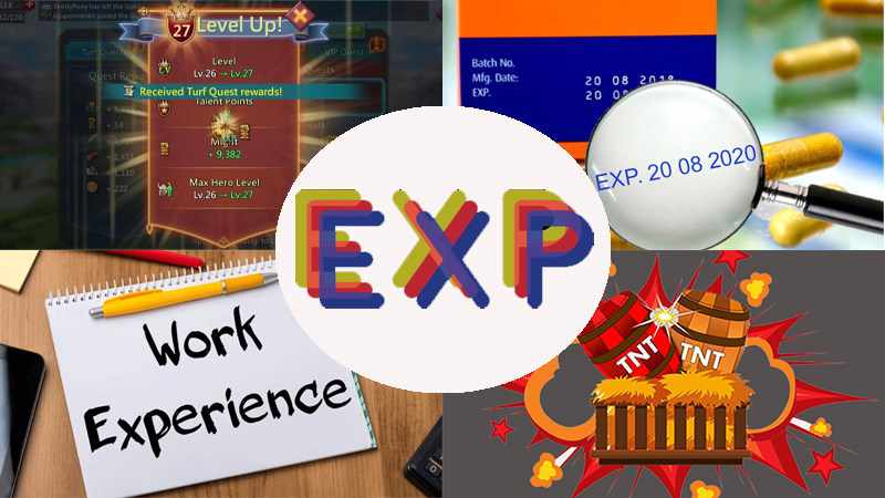 EXP là gì vậy? Ý nghĩa EXP trong game và những lĩnh vực khác