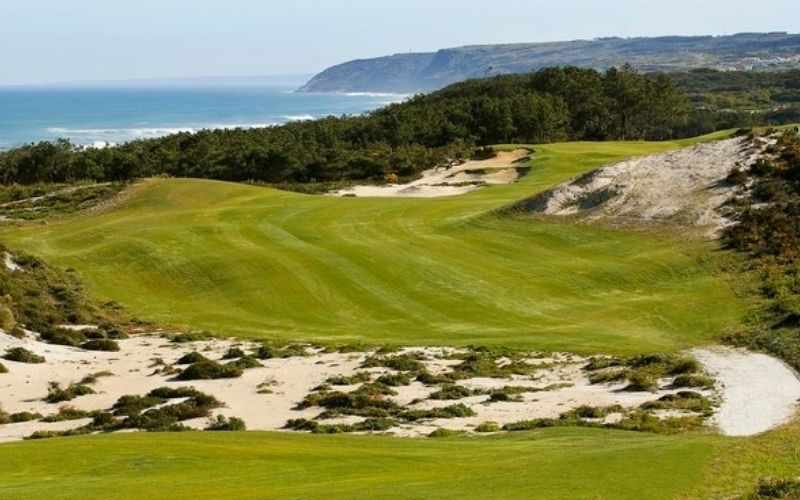 Dựa vào địa hình, những golfer có thể lựa chọn loại sân phù hợp với sở thích