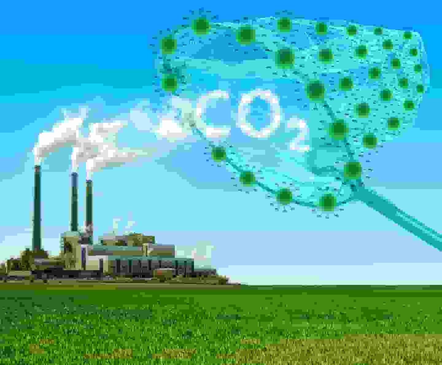 Khí CO2 là gì vậy?