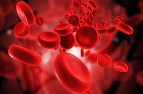 Lọc máu là gì vậy? Là biện pháp loại khỏi máu các phần tử có trọng lượng phân tử nhỏ, chính là các chất cặn của quá trình chuyển hóa