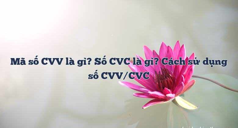 Mã bảo mật CVV/CVC là gì vậy?