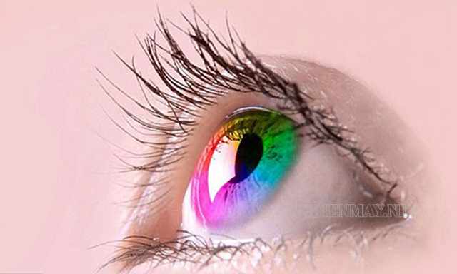 Các màu sắc của mắt con người do GEN OCA2 quy định