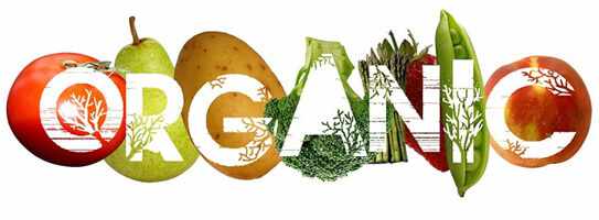 Thực phẩm hữu cơ organic tốt cho sức khỏe như thế nào?