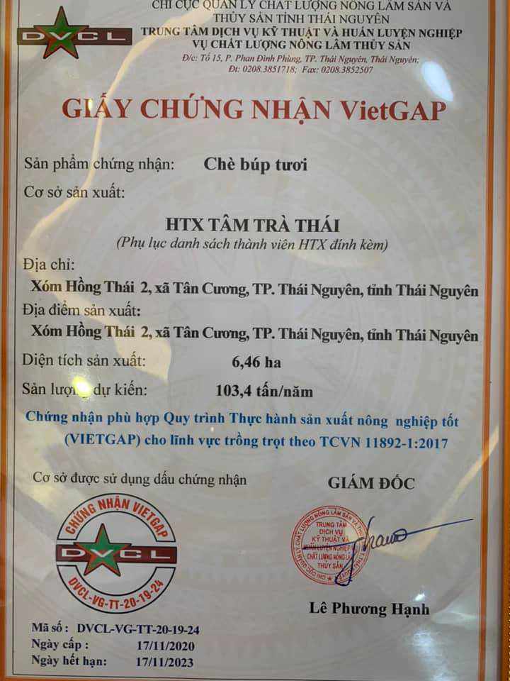 Chứng nhận Vietgap HTX Tâm Trà Thái