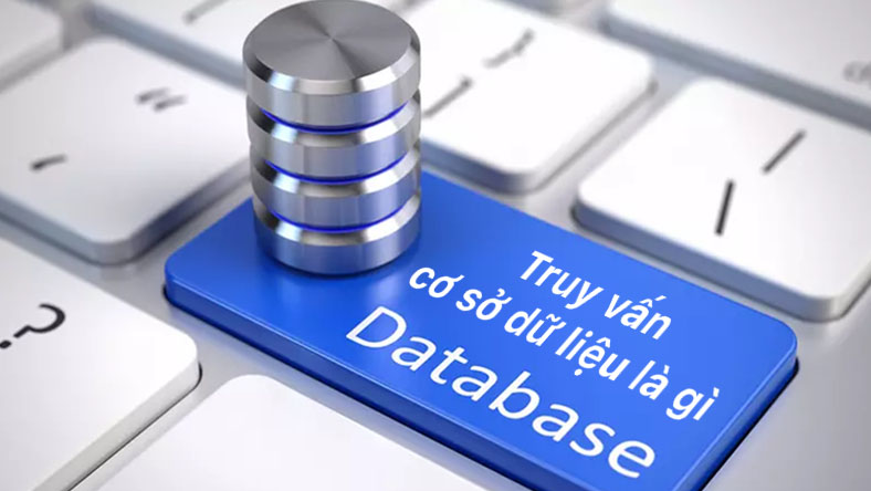 Truy vấn cơ sở dữ liệu là gì vậy? Xây dựng cơ sở dữ liệu sao cho đúng?