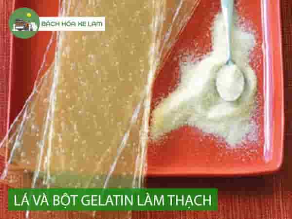 Phân biệt bột gelatin làm thạch và gelatin dạng lá