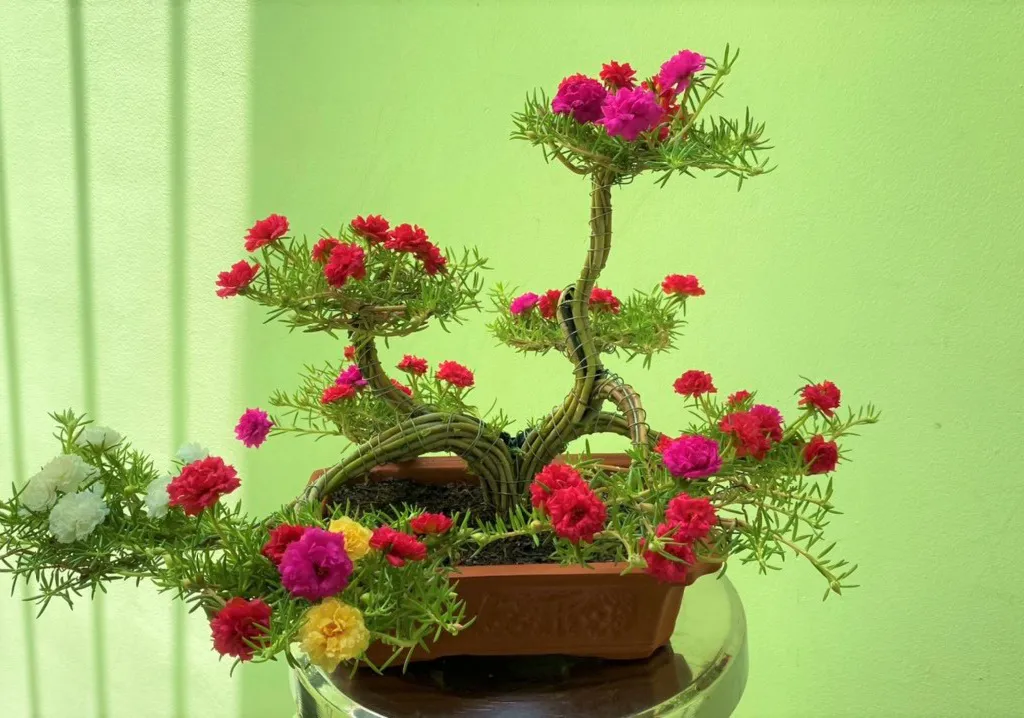 Tìm hiểu cách làm hoa mười giờ bonsai - http://amthuc247.net