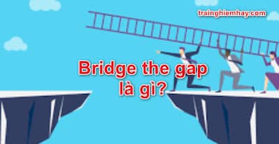 Đồng Nghĩa Của Bridge The Gap Là Gì ? Bridging The Gap Có Nghĩa Là Gì