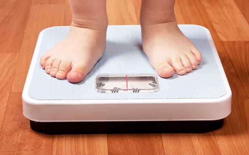 đường tinh luyện chính là nguyên nhân dẫn đến béo phì