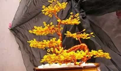 Hướng dẫn cách làm cây bonsai 