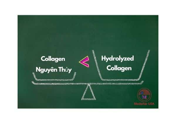 hydrolyzed collagen trong mỹ phẩm