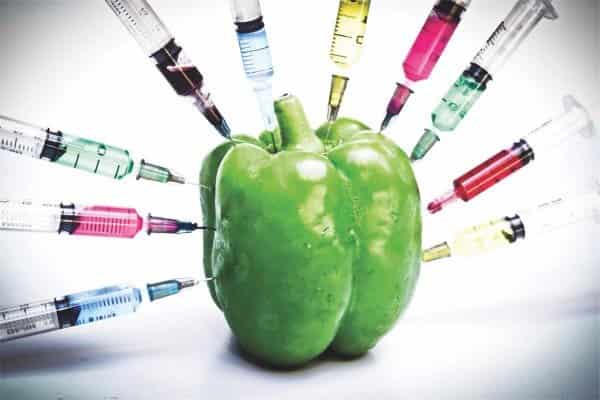 NON GMO LÀ GÌ ? CÁCH NHẬN BIẾT THỰC PHẨM NON GMO - Học Đấu Thầu