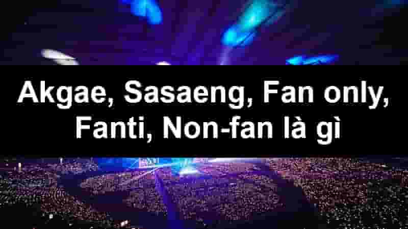 Akgae, Sasaeng, Fan only, Fanti, Non-fan là gì? Phân biệt các fan Kpop