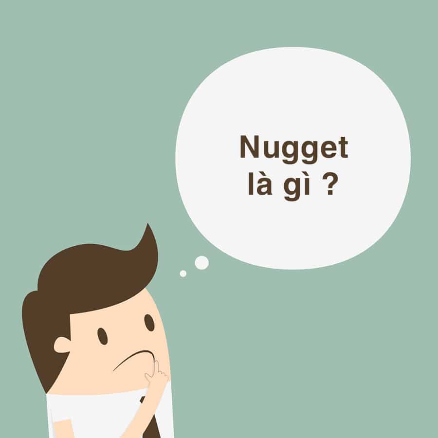 Nugget là gì ? Tìm hiểu và giải nghĩa từ “nugget” chính xác