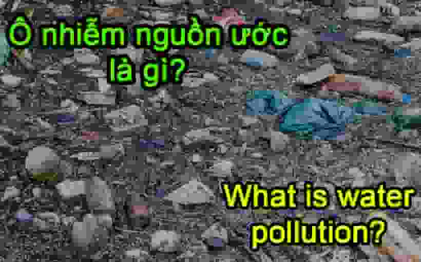 Ô nhiễm nguồn nước là gì