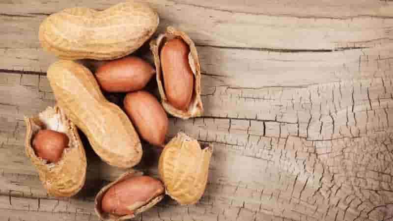 Tác dụng của Peanut đối với sức khoẻ