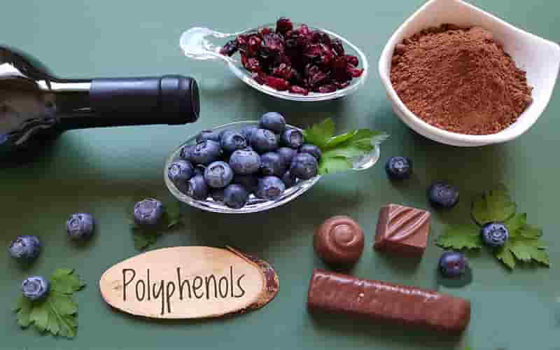 Polyphenol chính là gì?