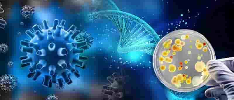 Nghiên cứu khoa học với công nghệ vi sinh