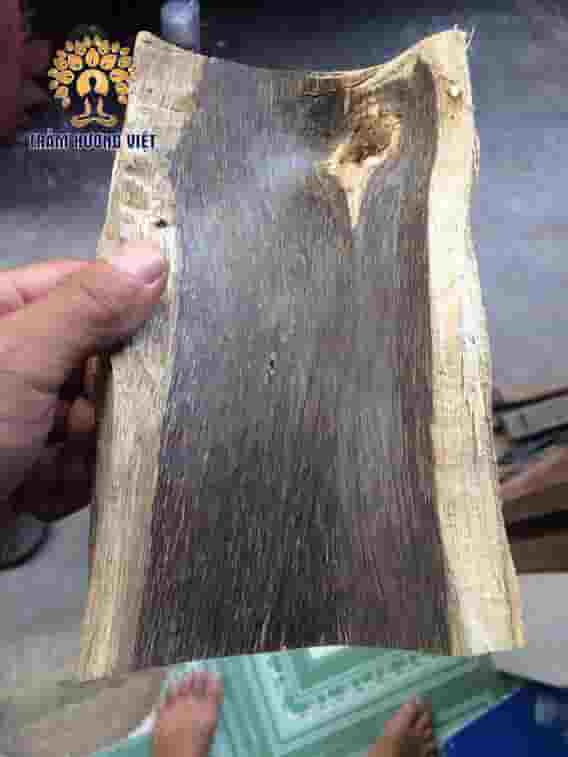 miếng gỗ trầm sánh chưa được xỉa mỏng